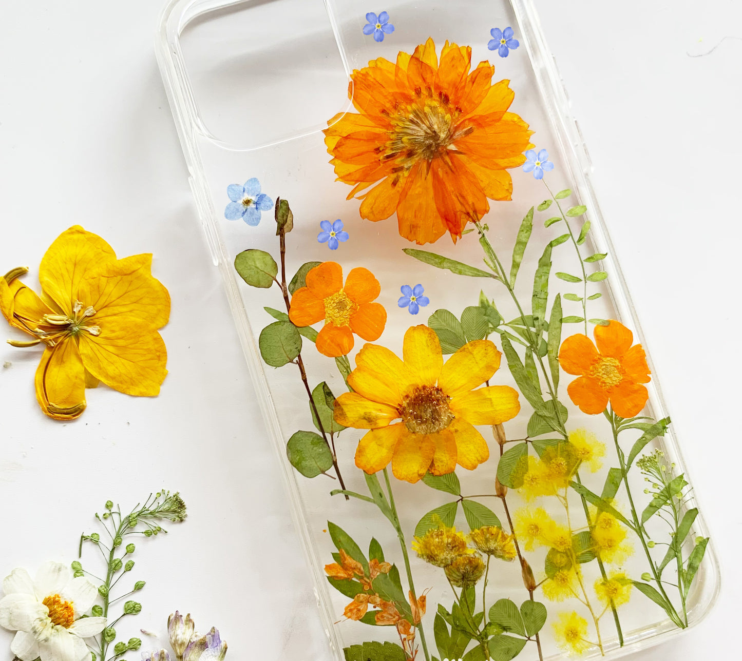 Forget me Not Pressed Sun Flower Phone Case