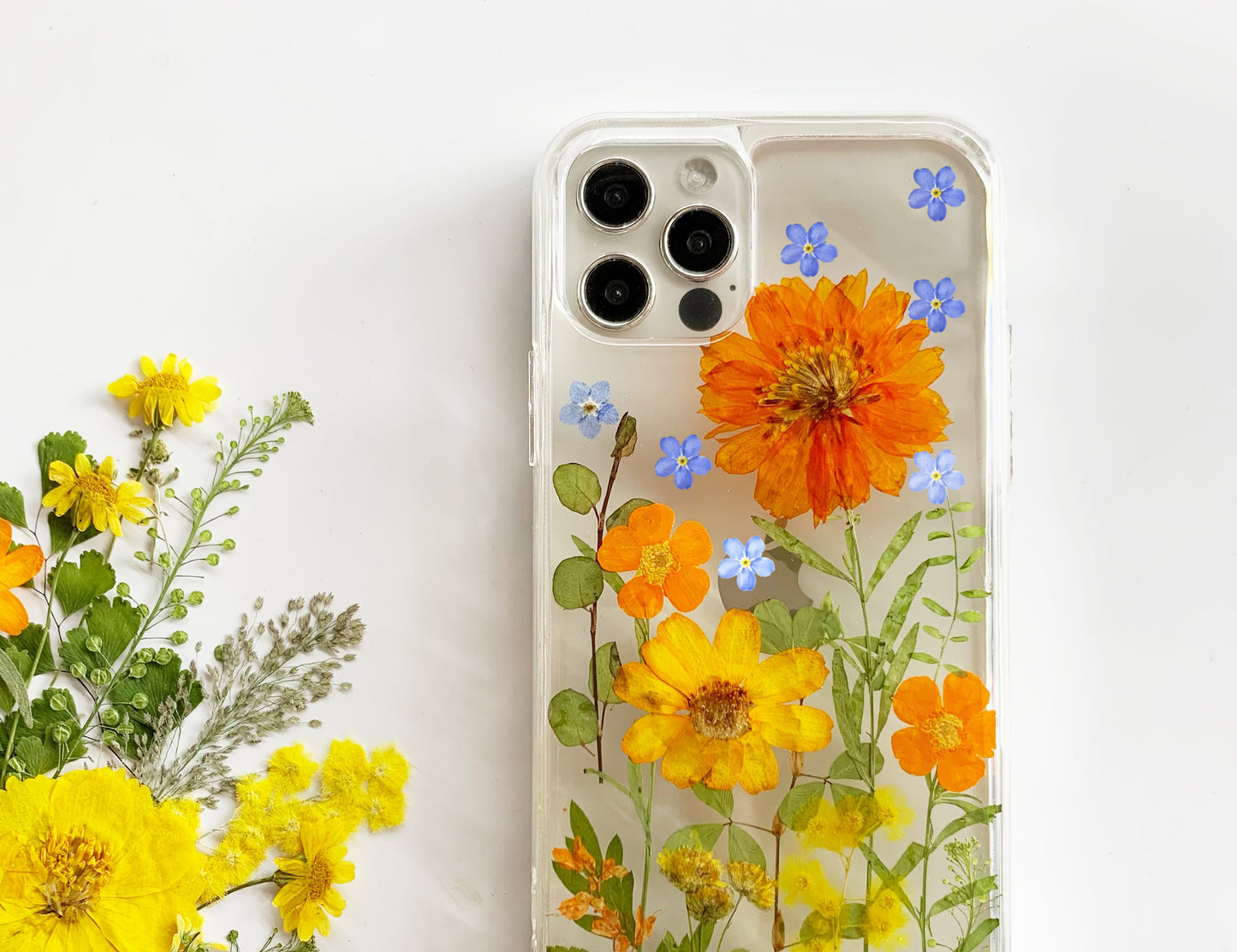 Forget me Not Pressed Sun Flower Phone Case