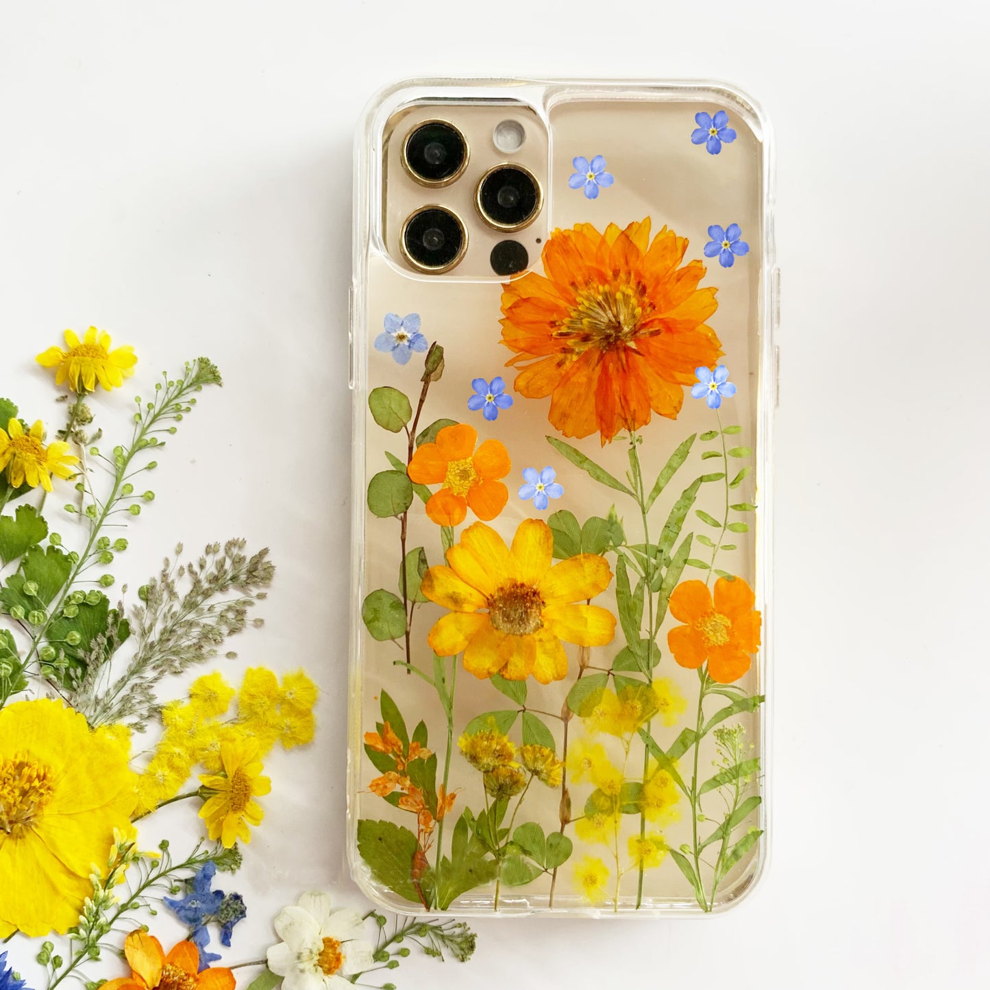 Forget me Not Pressed Sun Flower Phone Case