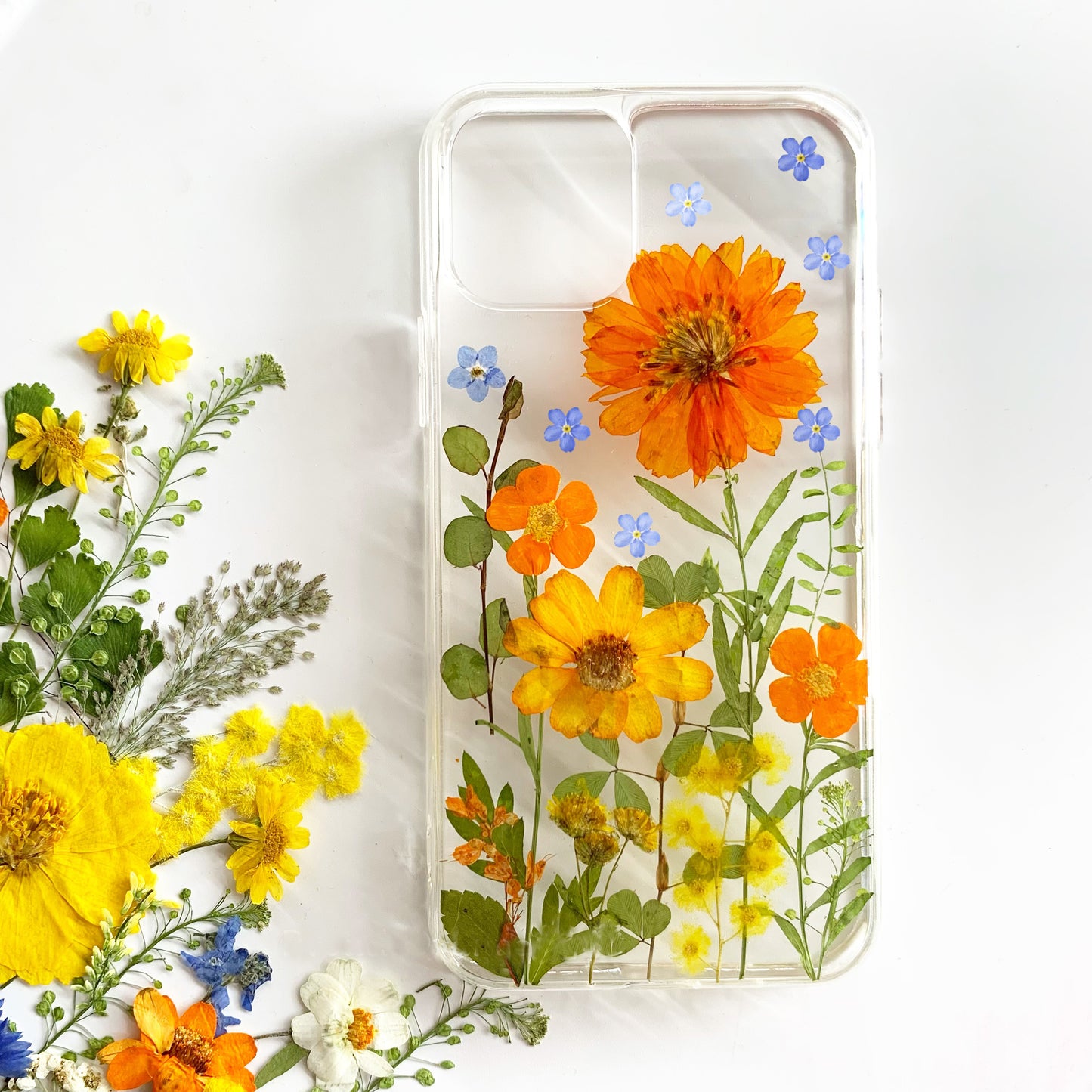 Forget me Not Pressed Sun Flower Phone Case