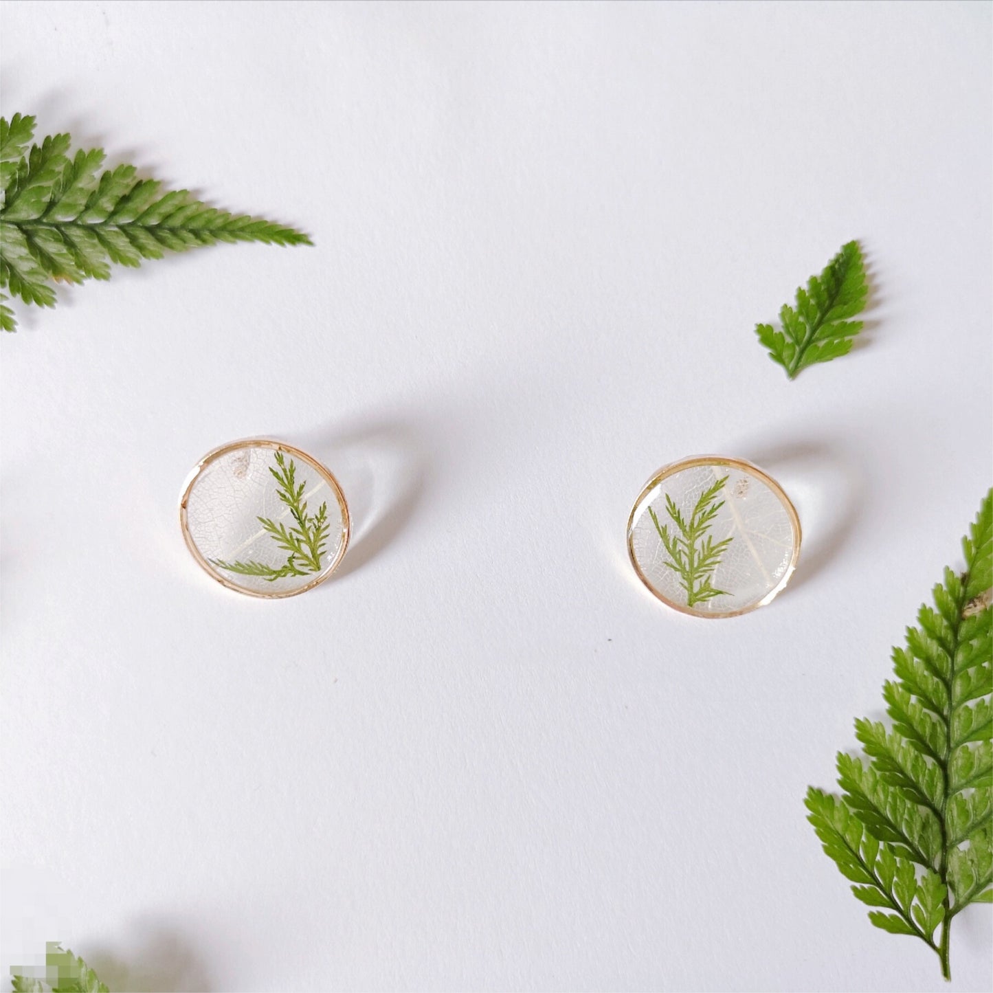 Real Pressed Flower Leaves Stud earrings