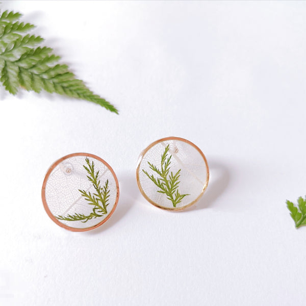 Real Pressed Flower Leaves Stud earrings